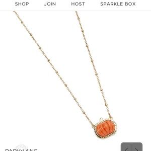 Pumpkin Spice necklace